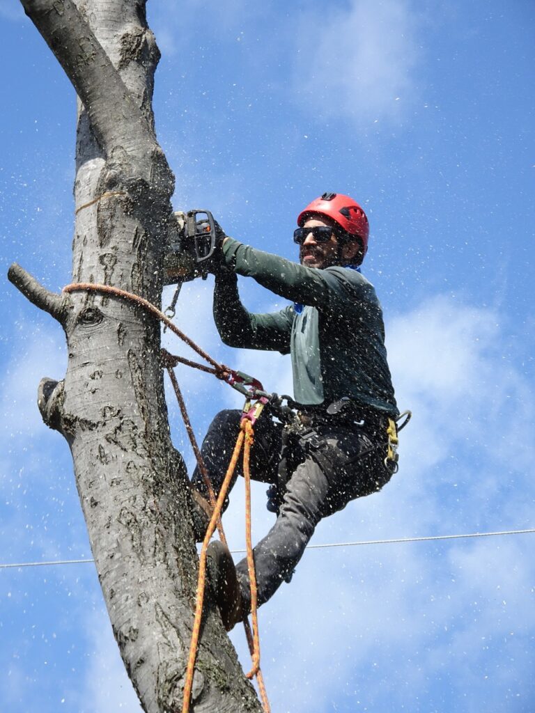 easley tree service