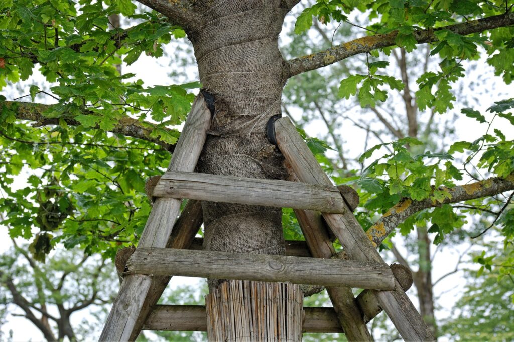 easley sc tree services